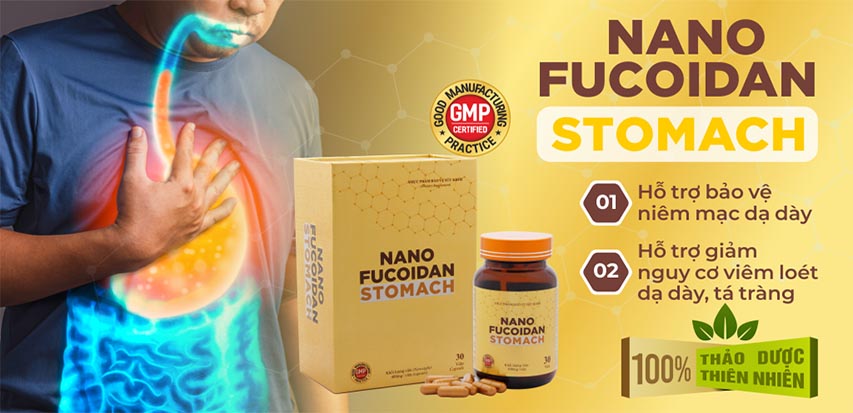 Nano Fucoidan stomach Việt Nam